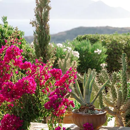 On The Rocks - The Main House - Serviced Landhaus Chora
